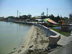 golfe mexique - 19