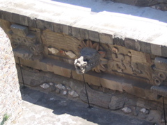 TEOTIHUACAN - 130