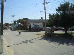 golfe mexique - 21