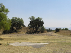 TEOTIHUACAN - 167