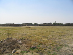 TEOTIHUACAN - 201