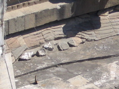 TEOTIHUACAN - 210