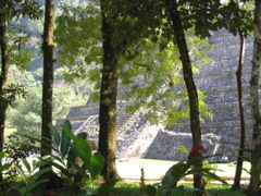 palenque - 12