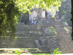 palenque - 13