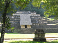 palenque - 15