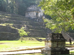 palenque - 16