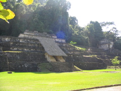 palenque - 18