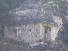 palenque - 20