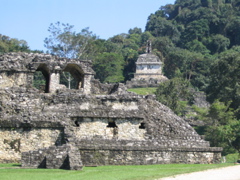 palenque - 21
