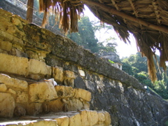 palenque - 38