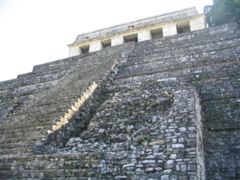 palenque - 42