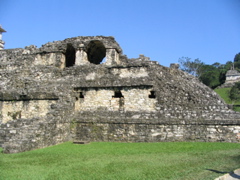 palenque - 45