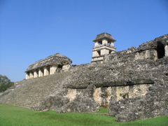 palenque - 46
