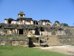 palenque - 51