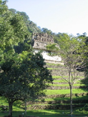 palenque - 54