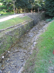 palenque - 57