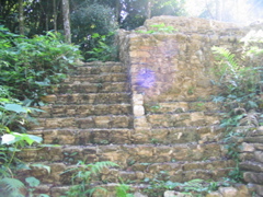 palenque - 63