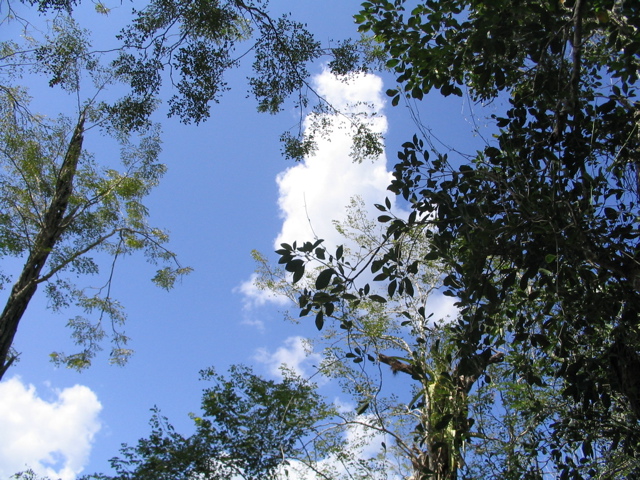 chichen itza - 118