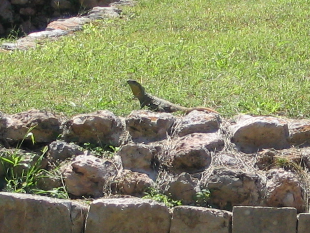 uxmal - 63