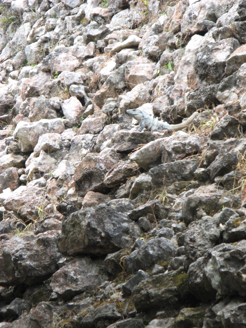 chichen itza - 13