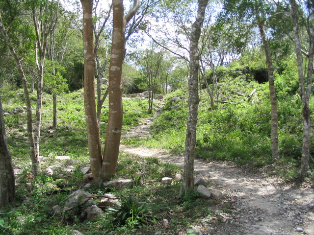 uxmal - 223