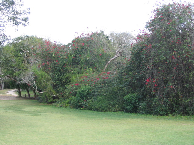 uxmal - 274