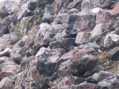 chichen itza - 78