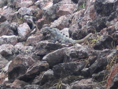 chichen itza - 79