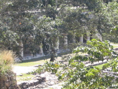 uxmal - 97