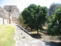 uxmal - 156