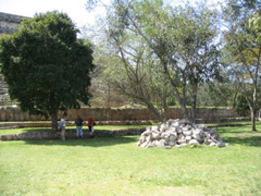 uxmal - 172