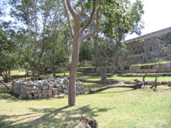 uxmal - 174