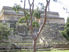 uxmal - 178