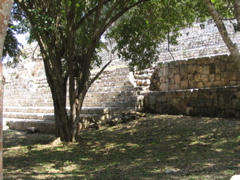 uxmal - 191