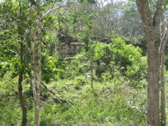 uxmal - 224
