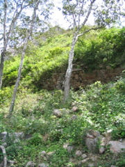 uxmal - 234