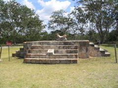 uxmal - 245