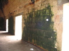 uxmal - 248