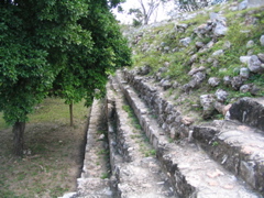 uxmal - 257