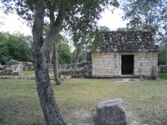 uxmal - 261