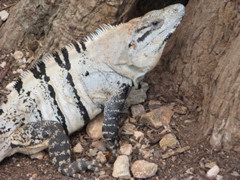chichen itza - 61